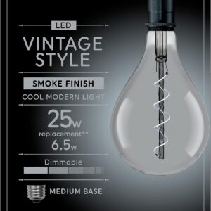 GE Vintage Style LED Light Bulb, 25 Watt, Smoke Finish, PS52 Large Bulb (1 Pack)