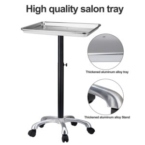 Salon Tray, Salon Tray with Metal Feet, Salon Tray on Wheels Height Adjustable, Hair Color Tray Non-Rusting