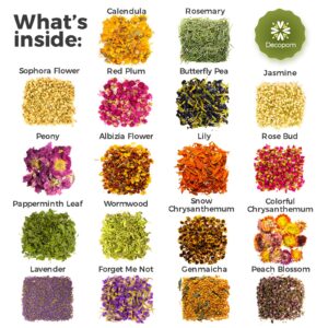 Dried Herbs and Flowers for Witchcraft Spells - Pack of 18 Variety Bulk Real Dry Flower Bags - Great for DIY Candle Making Kit Soap Essential Oil Resin Lip Gloss Includes Lavender Rose Petals Jasmine