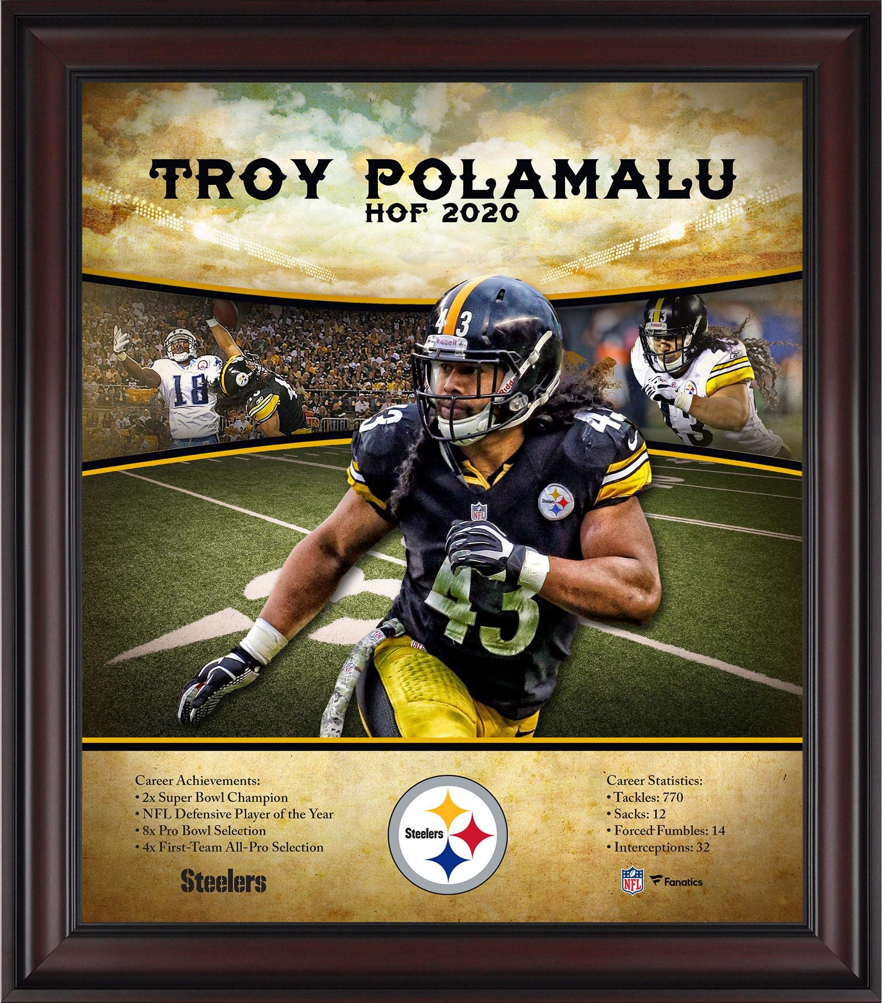 Sports Memorabilia Troy Polamalu Pittsburgh Steelers Framed 15" x 17" Hall of Fame Career Profile - NFL Player Plaques and Collages