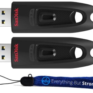 SanDisk Ultra 512GB USB 3.0 Flash Drive (Bulk 2 Pack) Works with Computer, Laptop, 130MB/s 512 GB PenDrive High Speed Memory Storage (SDCZ48-512G-U46) Bundle with (1) Everything But Stromboli Lanyard