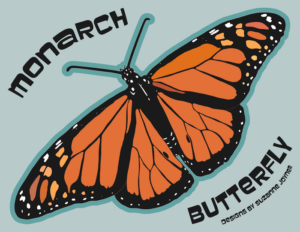 monarch butterfly: designs by suzanne joyner