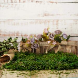 Farmoo Artificial Moss for Plant, 8OZ Fairy Garden Lawn Crafts Wedding Decor, 225gr (Fresh Green Moss)
