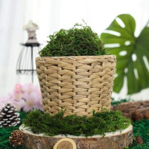 Farmoo Artificial Moss for Plant, 8OZ Fairy Garden Lawn Crafts Wedding Decor, 225gr (Fresh Green Moss)