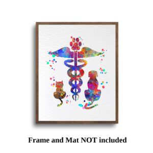 Dignovel Studios 11X14 Unframed Veterinary Caduceus Animal Clinic Pet Watercolor Art Print Poster Housewarming Wall Art Giclee Office Home Decor DN539