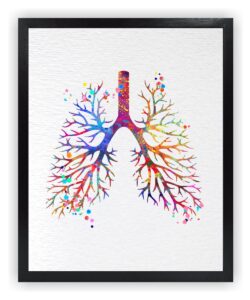 dignovel studios 8x10 unframed lung anatomy human body watercolor art print poster medical science housewarming wall art giclee office home decor dn541