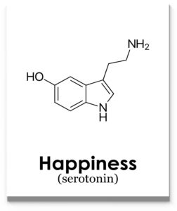 happiness serotonin molecule wall art 11x14 unframed art print poster black on white for office, classroom, science laboratory or home décor. great gift for scientists, chemists, geeks and nerds