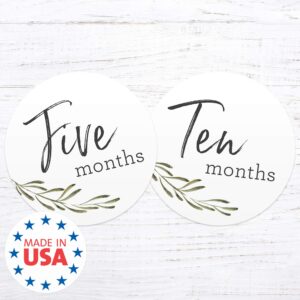 Baby Milestone Signs/Greenery Monthly Milestones/Botanical Infant Photo Prop