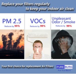 PUREBURG VA-EE004 True HEPA Replacement Filters Compatible with VAVA VA-EE004 Air Purifier,H13 4-Stage Filtration Activated carbon 2-in-1 Air Clean Dust VOCs Odor,2-Pack