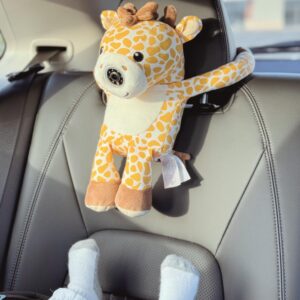 zooby Car Baby Video Monitor Reduces Distracted Driving (Jordan)