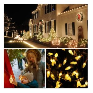 Anycosy Christmas Lights, 19.7 Ft 60 LEDs Strawberry Battery Operated Strings Lights 8 Modes On/Off Timer for Xmas Tree Indoor Outdoor Christmas Decorations