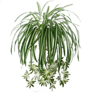 artificial chlorophytum silk flowers, artificial flowers spider plant fake greenery faux plant hanging basket ivy green leaves wall hanging plants for home garden office wedding decoration