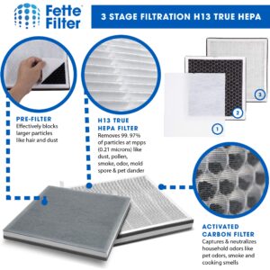 Fette Filter - Vital 100 True HEPA Replacement Filter Compatible with LEVOIT Vital 100 Air Purifier, 3-in-1 filtration system. Replace Part # Vital 100-RF - Pack of 2