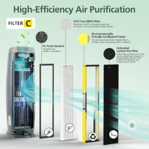 isinlive 2 Pack FLT5000 True HEPA Filter C Replacement with 8 Pack Activated Carbon Pre-Filters Compatible with G-guardian Air Purifier AC5000 AC5000E AC5250PT AC5350B AC5350BCA AC5350W AC5300B