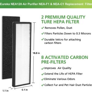 NEA-F1 H13 True HEPA Replacement Filter for Eureka NEA120 and Toshiba Smart WiFi Air Purifier，2 Pack NEA-F1 H13 True HEPA Filter and 8 Pack NEA-C1 Activated Carbon Replacement Filter