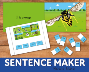 make sentences with the sentence maker: book 9 (mission spelling zero series)