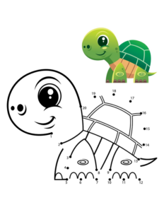 animal turtle dot to dot for kindergarden/ elementary