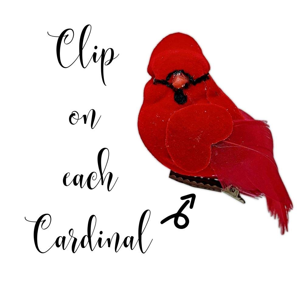 BANBERRY DESIGNS Red Feathered Cardinal Bird Ornaments - Set of 20 Cardinal Clip-On - Flocked with Feathered Wings and Tail 3" L