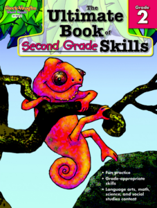 the ultimate book of second grade skills