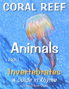 coral reef animals: book 1: invertebrates