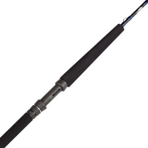 Daiwa DKWT66MB Darkwater Saltwater Rod, Sections= 1, Line Wt.= 20-30