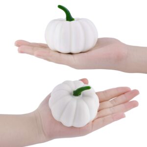 ADXCO 16 Pack Mini Pumpkin Small Pumpkins Fall Harvest Pumpkins Lifelike Foam Pumpkins Realistic Pumpkin for Halloween, Thanksgiving Home, Garden Decor, White