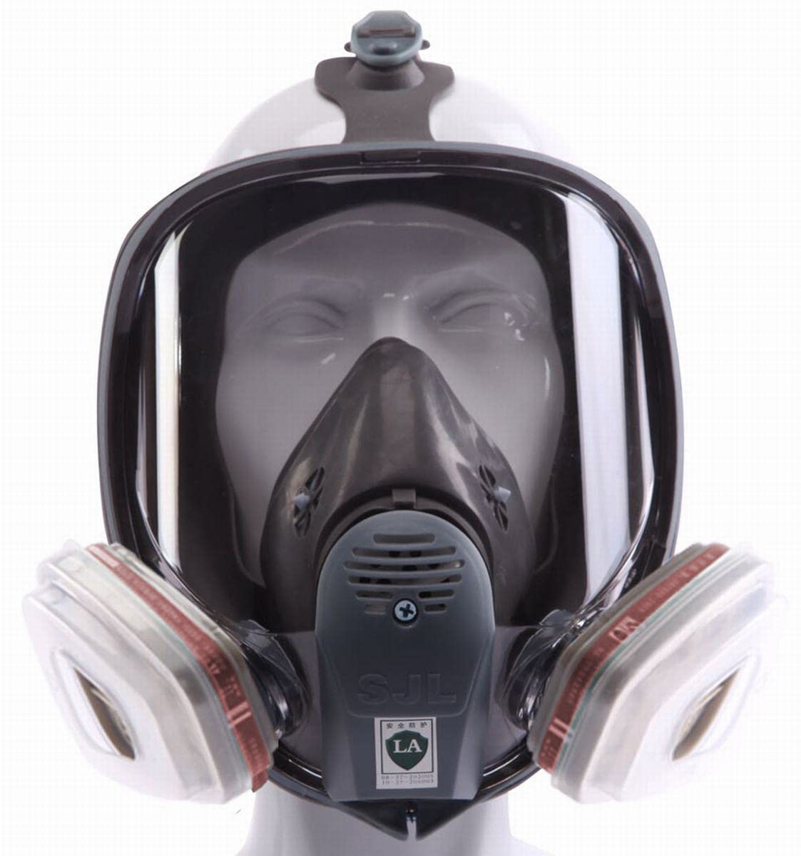 The Card Zoo Full Face Respirator mask,Gas Mask with Activated Carbon Air Filter, Protect Against Gas,Paint,Dust,Chemicals