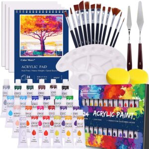acrylic paint set,46 pcs professional painting supplies with paint brushes, 24 colors acrylic paints, painting pad, palette, paint knives and art sponges for hobbyists and beginners,paint set