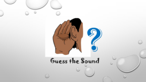 guess the animals sound