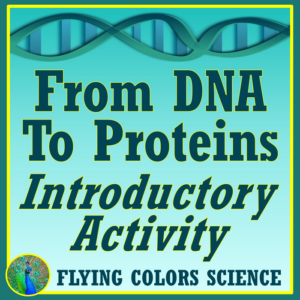 dna and proteins activity protein synthesis simplified