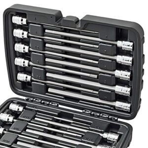 CARBYNE 18 Piece Extra Long Hex (Allen) Bit Socket Set | SAE & Metric, S2 Steel Bits, CrV Sockets, Corrosion Resistance, Durable Storage Case | 1/8''-3/8'' SAE / 3mm-10mm Metric, 3/8" Dr.