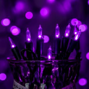 YULETIME 200 Purple LED Christmas Lights with Black Wire 66 Ft, Pack of 2 Strands 33 Ft 100 Lights UL Certified Halloween String Light Set (Purple - Black Wire)