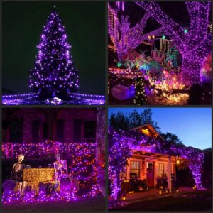 YULETIME 200 Purple LED Christmas Lights with Black Wire 66 Ft, Pack of 2 Strands 33 Ft 100 Lights UL Certified Halloween String Light Set (Purple - Black Wire)