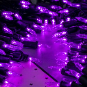 YULETIME 200 Purple LED Christmas Lights with Black Wire 66 Ft, Pack of 2 Strands 33 Ft 100 Lights UL Certified Halloween String Light Set (Purple - Black Wire)