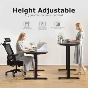 Birsppy Height Adjustable Desk Electric Standing Desk Home Office Desk Dual Motor Black (Frame Only)