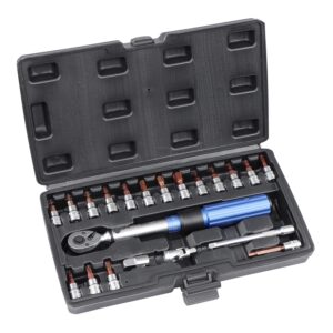 abn 1/4 drive inch pound torque wrench set - 90 tooth dual direction 20-200in-lb adjustable torque wrench 2-23nm mountain bike torque wrench set