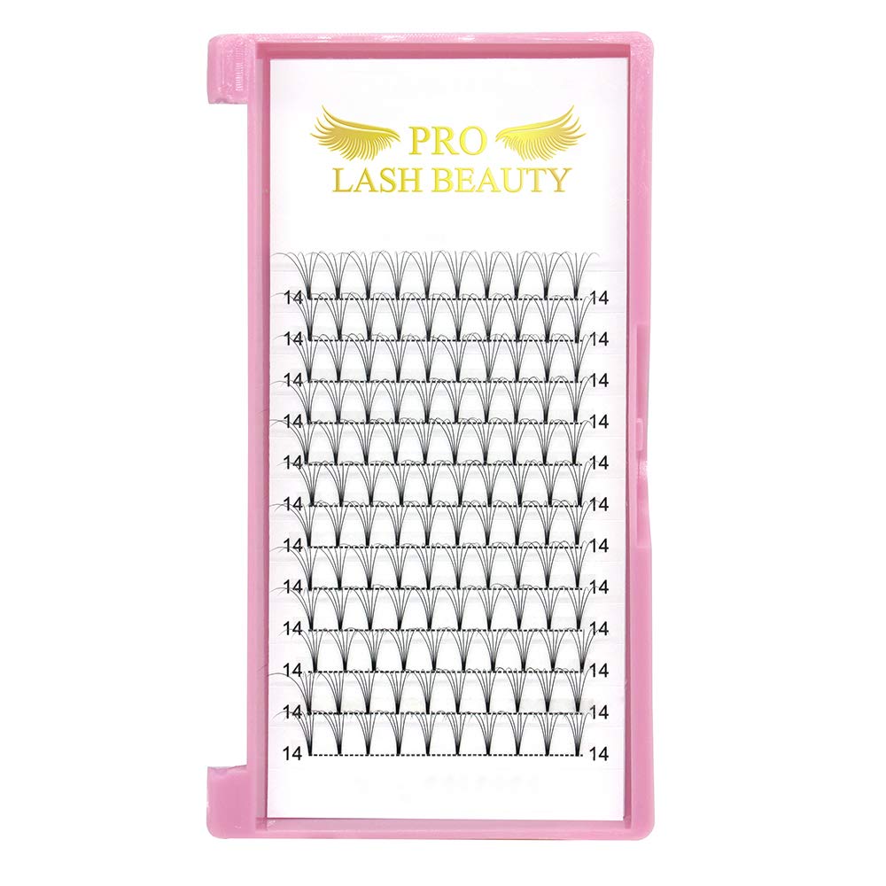 PRO LASHBEAUTY Premade Volume Eyelash Extensions 5D, D Curl, 0.10mm, 14mm, Vegan, Individual, False Eyelash Extensions