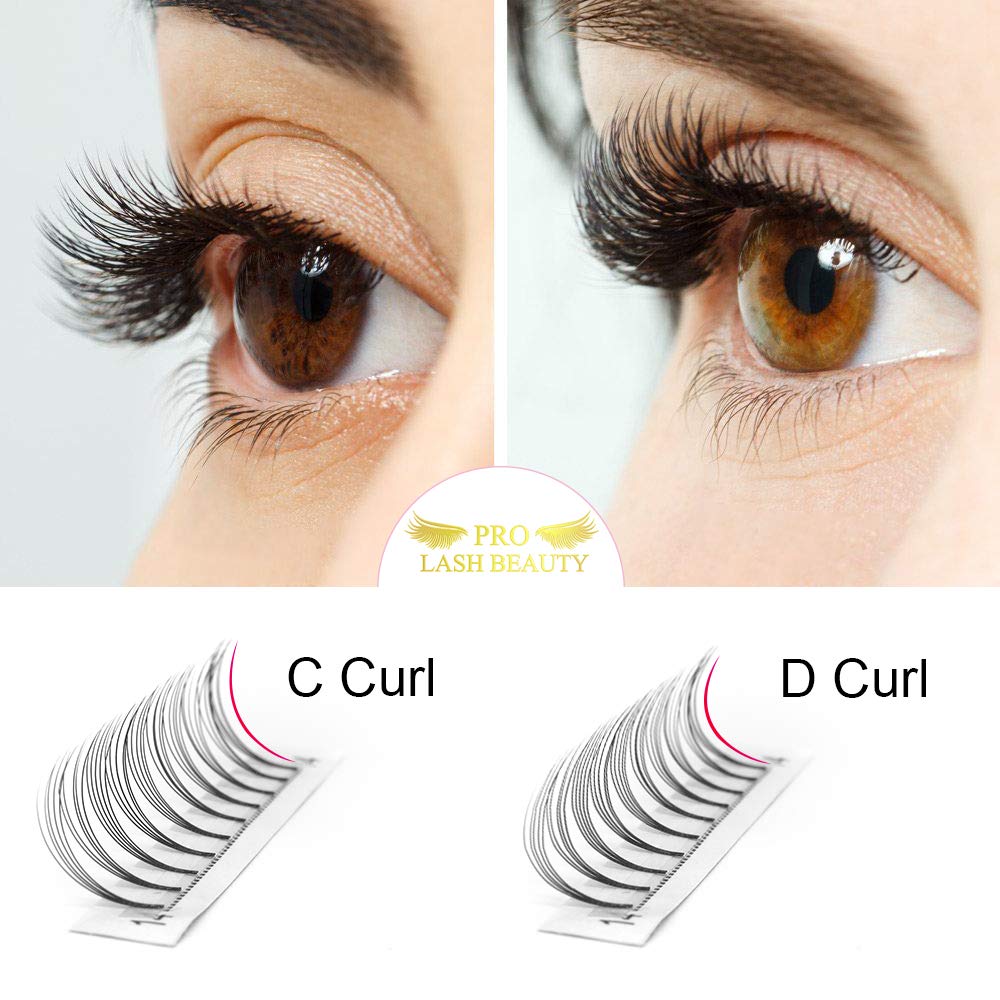 PRO LASHBEAUTY Premade Volume Eyelash Extensions 5D, D Curl, 0.10mm, 14mm, Vegan, Individual, False Eyelash Extensions