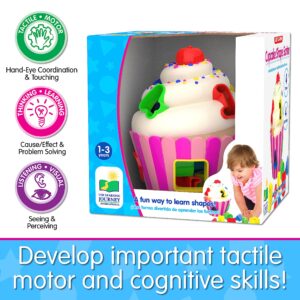 The Learning Journey - Early Learning - Cupcake Shape Sorter - Shape Sorter for Toddlers Ages 12 Months and Up - Award Winning Toys