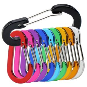 nanaborn mini aluminum carabiner lightweight d-shape spring clips (10pcs) for keychain climbing fishing, hiking outdoor (10pcs)
