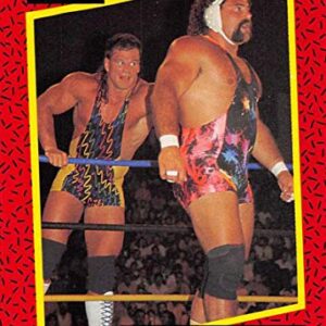 1991 Impel WCW Wrestling #111 Steiner Brothers Official World Championship Wrestling Trading Card