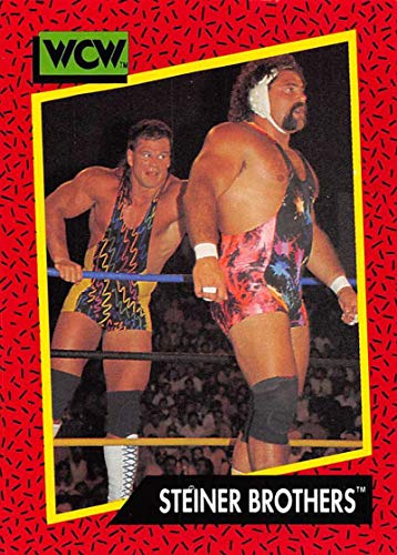 1991 Impel WCW Wrestling #111 Steiner Brothers Official World Championship Wrestling Trading Card