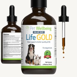 Pet Wellbeing More Mushrooms Kit for Dogs & Cats with Cancer - Value Size - Immune System Support and Antioxidant Protection - Turkey Tail, Reishi, Maitake, Astragalus, Blessed Thistle, Sheep Sorrel