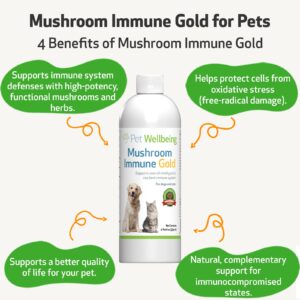 Pet Wellbeing More Mushrooms Kit for Dogs & Cats with Cancer - Value Size - Immune System Support and Antioxidant Protection - Turkey Tail, Reishi, Maitake, Astragalus, Blessed Thistle, Sheep Sorrel