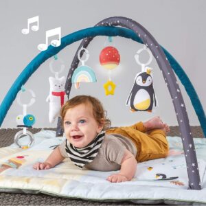 Taf Toys North Pole 4 Seasons Baby Play Mat and Infant Activity Gym with Music & Light. Thickly Padded Developmental Playmat, for Newborns and up. Designed to Encourage Baby’s Senses Development