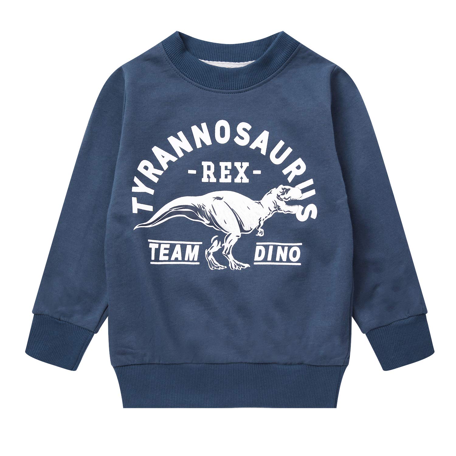 Akyzic Boy Dinosaur Sweatshirts Toddler Long Sleeve Cotton Pullover Cartoon T-Shirts Sport Top Tee For Kids 2-7T dinosaur3-8009-5T