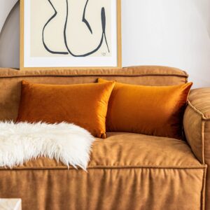 home brilliant velvet lumbar pillow cover for car chair oblong orange pillow cover for office lounge nursery, set of 2, 12 x 20 inches(30x50cm), copper