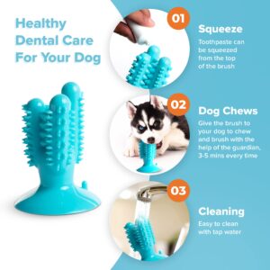 Double Suction Cup Dog Toys Set For Aggressive Chewers 100% Rubber (3 In 1), Teeth Cleaning Toothbrush Toy Stops Plaque & Tarter, Cherry Blossom Waste Bag Dispenser Bonus, Tug Of War Toy For Dog's IQ