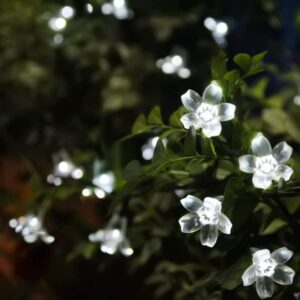 Solar Flower Fairy Lights Garden,WONFAST Waterproof 33feet 100LED Cherry Blossom Solar Powered String Lights 8 Mode for Outdoor Party Patio Garden Home Christmas Decoraions (White)