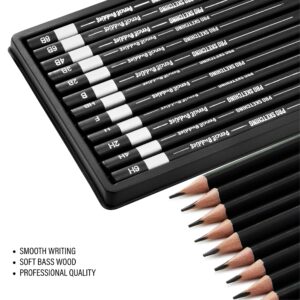 Pencil Buddies Sketch Pencils for Drawing, Triangular Drawing Pencils Set, 12 Pack Art Pencils for Drawing & Shading, Graphite Shading Pencils for Sketching, Adults & Kids, 8B-6H